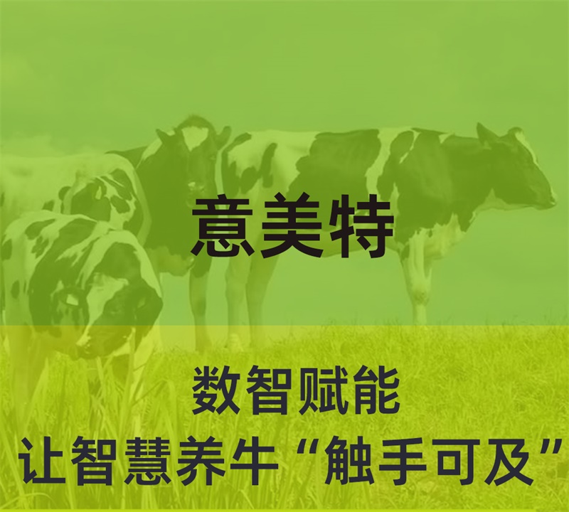 數(shù)智賦能，意美特讓智慧養(yǎng)牛“觸手可及”